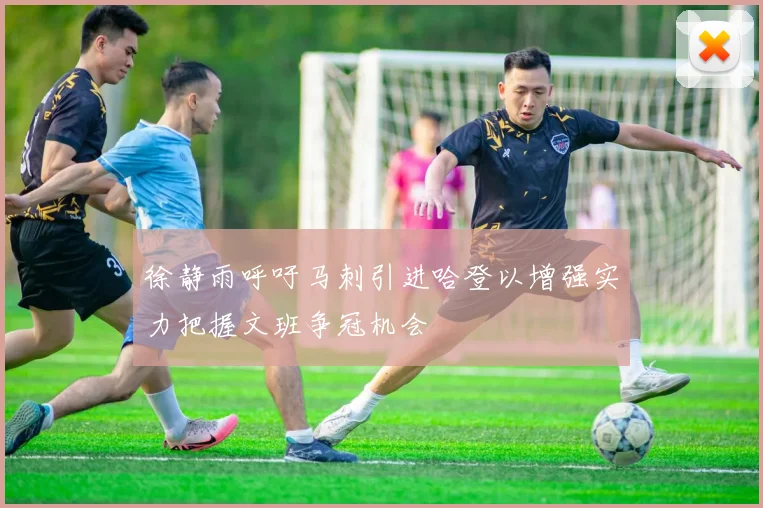 徐静雨呼吁马刺引进哈登以增强实力把握文班争冠机会