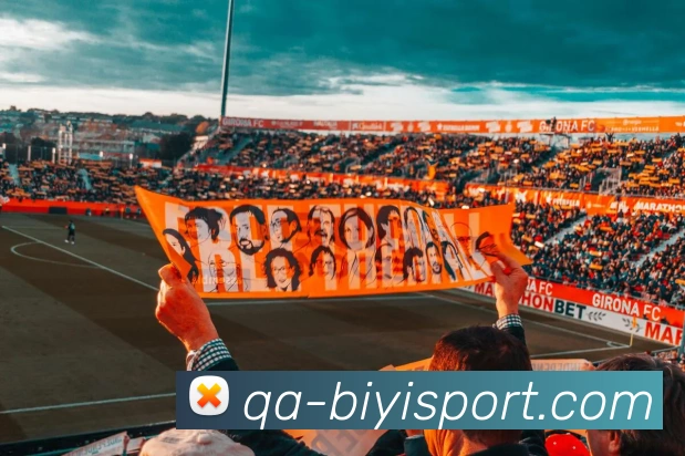 App Interface Preview